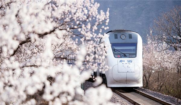 农村365全部视频,解锁乡村生活的多彩画卷 农村365全部视频,解锁乡村生活的多彩画卷